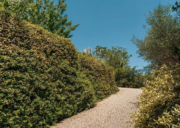 Domus Quiritum * Rome